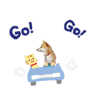 柴犬もも part3（個別スタンプ：18）