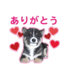 横内小太郎（個別スタンプ：3）