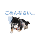 横内小太郎（個別スタンプ：4）