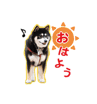 横内小太郎（個別スタンプ：5）