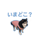 横内小太郎（個別スタンプ：7）
