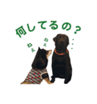 横内小太郎（個別スタンプ：8）