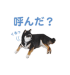 横内小太郎（個別スタンプ：10）