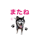 横内小太郎（個別スタンプ：15）