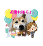 わんにゃん仲良し日常スタンプ（個別スタンプ：14）