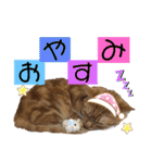 ベルちゃんとおにぃ（個別スタンプ：2）