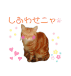 ベルちゃんとおにぃ（個別スタンプ：4）