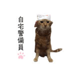 ベルちゃんとおにぃ（個別スタンプ：9）