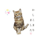 ベルちゃんとおにぃ（個別スタンプ：14）
