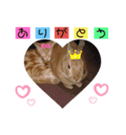 ベルちゃんとおにぃ（個別スタンプ：19）