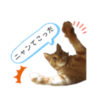 ベルちゃんとおにぃ（個別スタンプ：22）