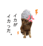 ベルちゃんとおにぃ（個別スタンプ：28）