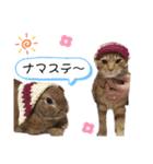 ベルちゃんとおにぃ（個別スタンプ：29）