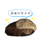 ベルちゃんとおにぃ（個別スタンプ：31）
