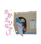ベルちゃんとおにぃ（個別スタンプ：34）