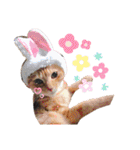 ベルちゃんとおにぃ（個別スタンプ：37）