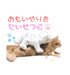 ベルちゃんとおにぃ（個別スタンプ：38）