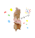 ベルちゃんとおにぃ（個別スタンプ：40）