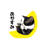 ガラスタ（個別スタンプ：2）
