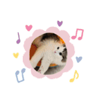 ふわ もふ にゃん（個別スタンプ：2）