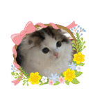 ふわ もふ にゃん（個別スタンプ：6）