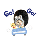 ふわ もふ にゃん（個別スタンプ：9）