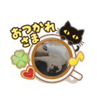 ふわ もふ にゃん（個別スタンプ：11）