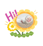 ふわ もふ にゃん（個別スタンプ：16）