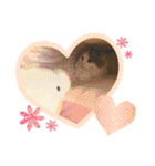 ふわ もふ にゃん（個別スタンプ：17）