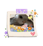 ふわ もふ にゃん（個別スタンプ：19）