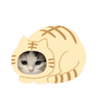 ふわ もふ にゃん（個別スタンプ：25）