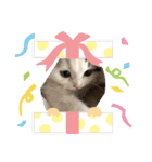 ふわ もふ にゃん（個別スタンプ：32）