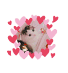 ふわ もふ にゃん（個別スタンプ：36）