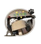 ふわ もふ にゃん（個別スタンプ：38）