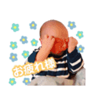 アオタくんスタンプ（個別スタンプ：3）