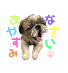 ぶる2（個別スタンプ：1）