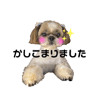ぶる2（個別スタンプ：9）