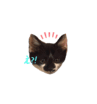 我が家の猫クー＆ビビ（個別スタンプ：2）