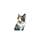 我が家の猫クー＆ビビ（個別スタンプ：14）