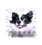 きたむらさんちのプルです（個別スタンプ：37）
