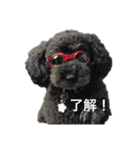ブラックサンタ！！！（個別スタンプ：1）