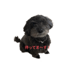 ブラックサンタ！！！（個別スタンプ：2）