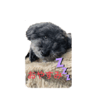 ブラックサンタ！！！（個別スタンプ：3）