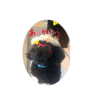 ブラックサンタ！！！（個別スタンプ：7）