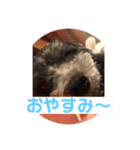 まったりりん part☆2（個別スタンプ：1）