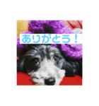 まったりりん part☆2（個別スタンプ：2）