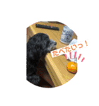まったりりん part☆2（個別スタンプ：5）