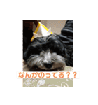 まったりりん part☆2（個別スタンプ：10）