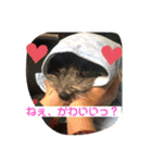 まったりりん part☆2（個別スタンプ：11）