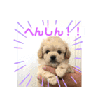 まったりりん part☆2（個別スタンプ：12）